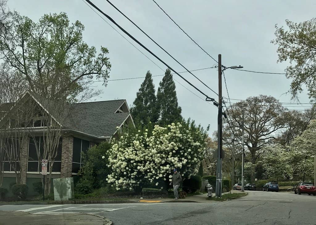 Atlanta BeltLine Access