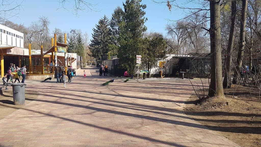 Global Animal Encounters