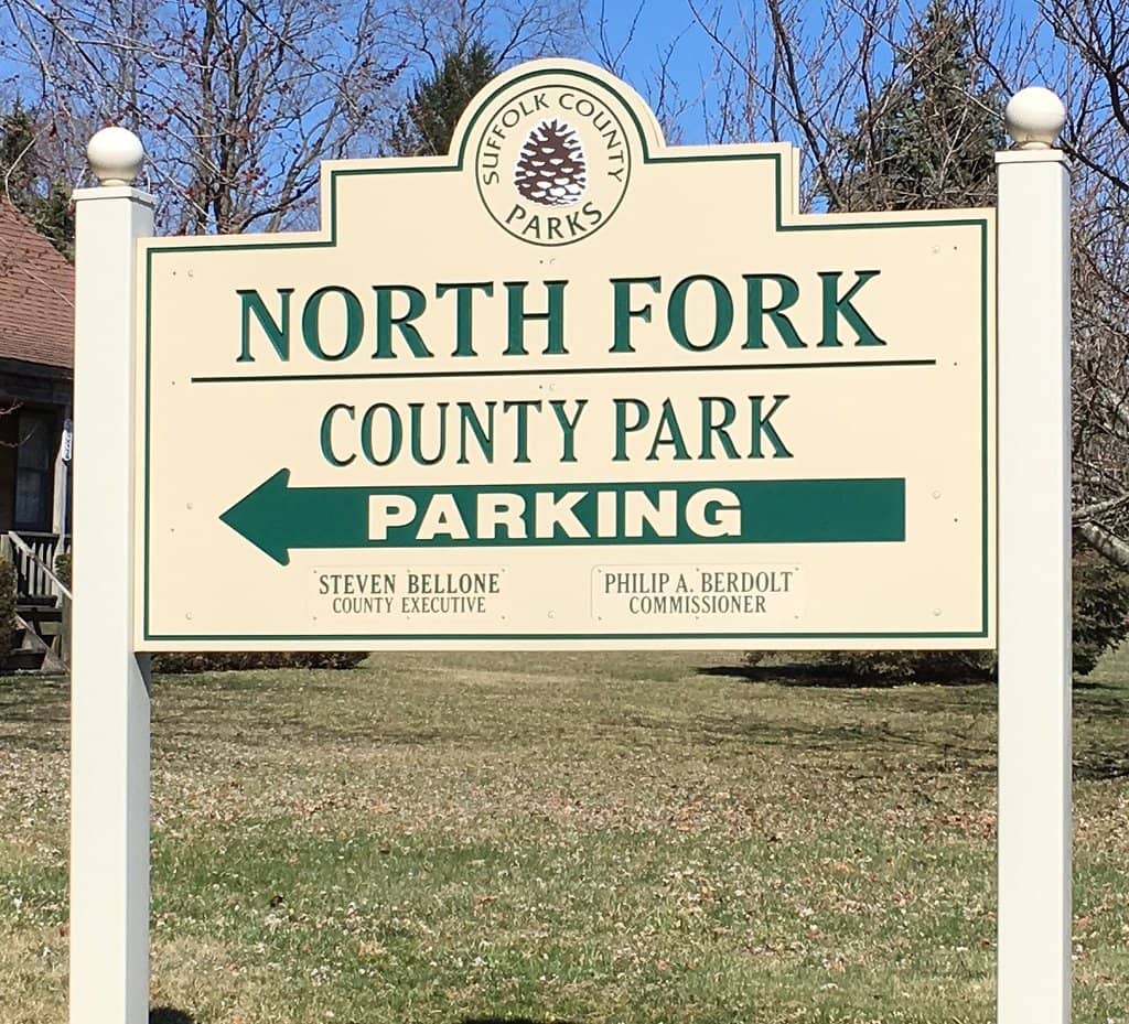 Seasonal Wild Berries