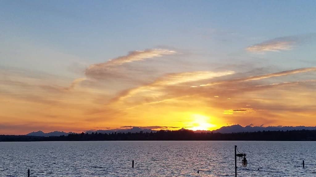 Waterfront Activities