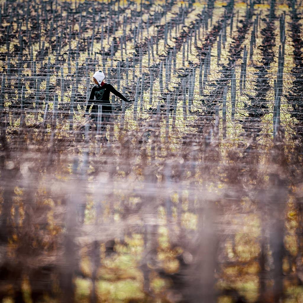 Chateau Architecture