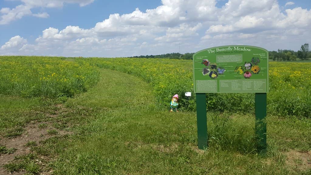 Enchanted Gnome Hunt