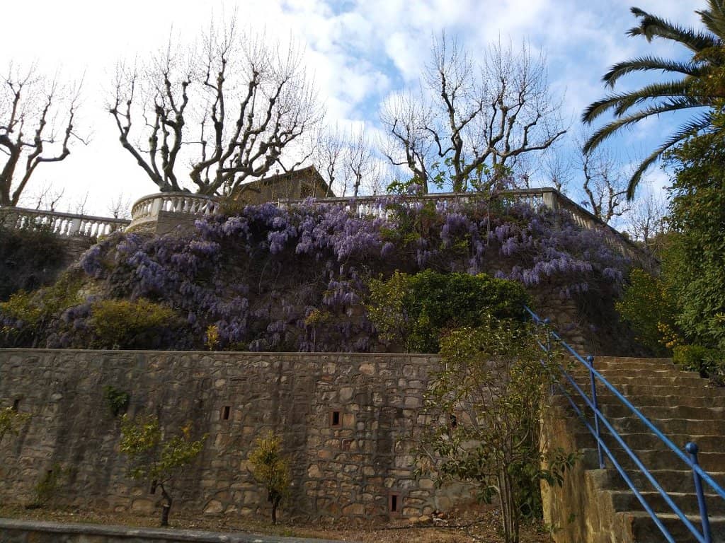 Crystal-Clear Cove for Swimming