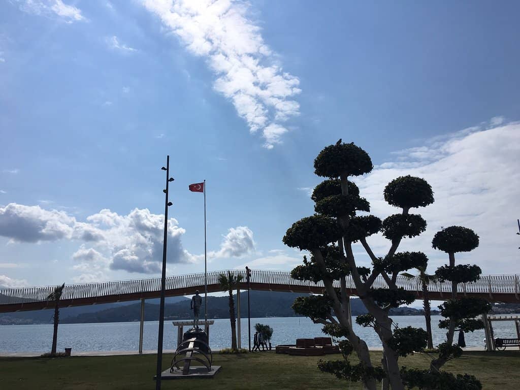 Expansive Playgrounds