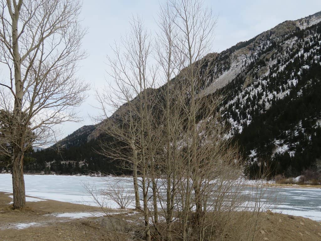 Bass Fishing Opportunities