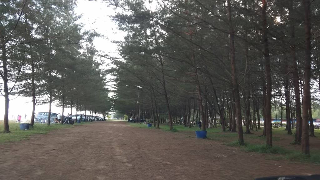 Water Sports Adventure