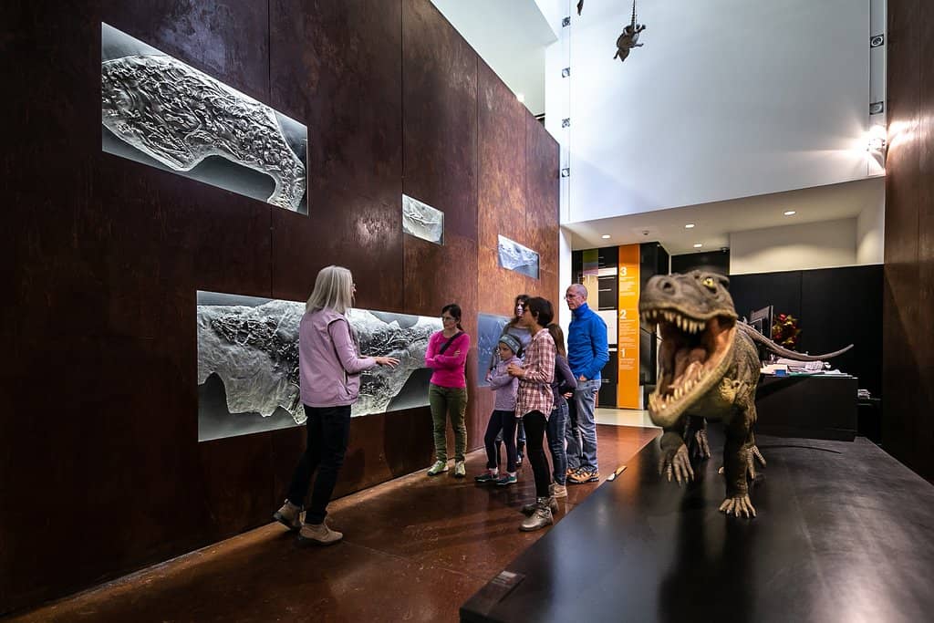 Interactive Exhibits