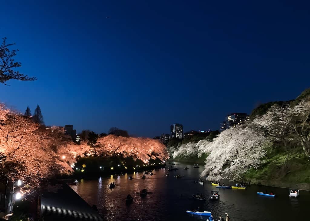 Chidorigafuchi Boat Rental