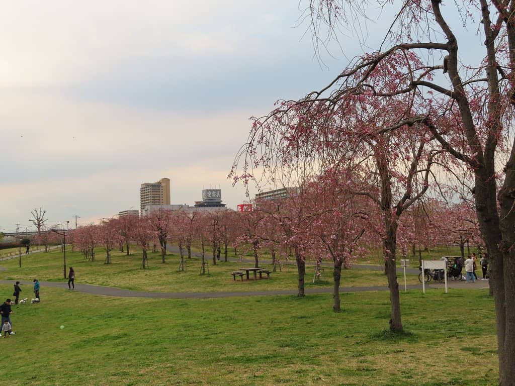 Ponds and Wetlands