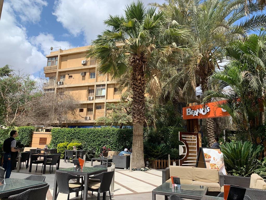 Exceptional Fish and Chips