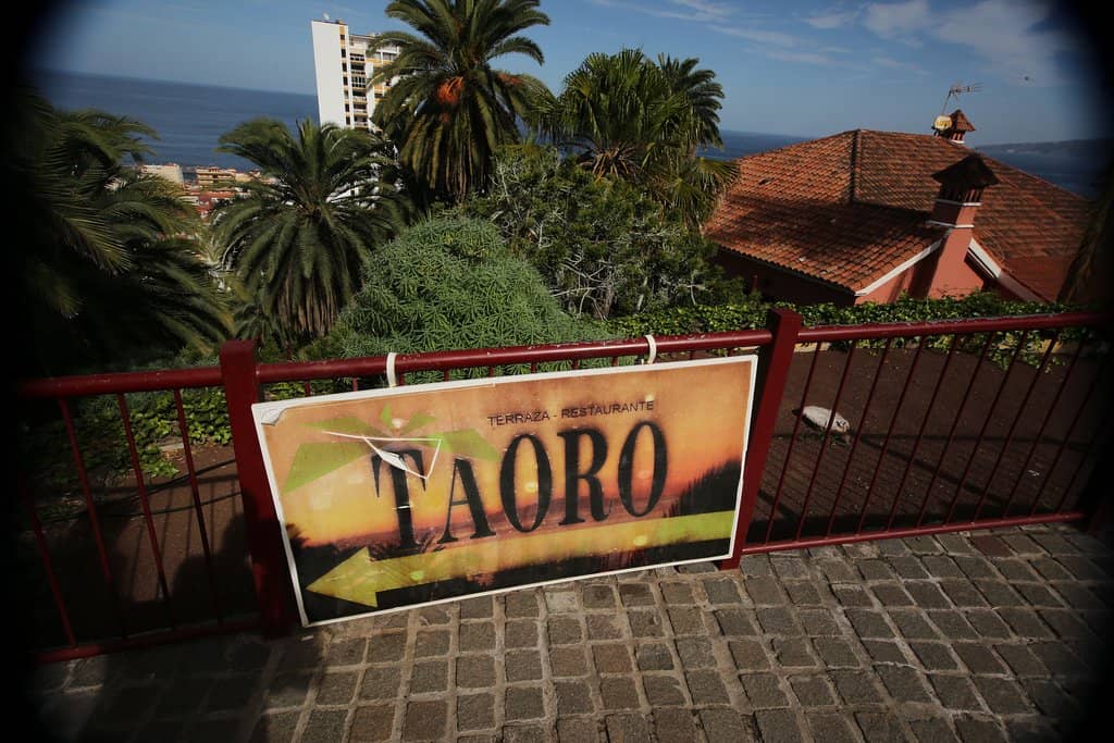 Lush Gardens and Greenery