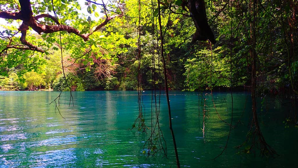 Shallow Mineral Pool