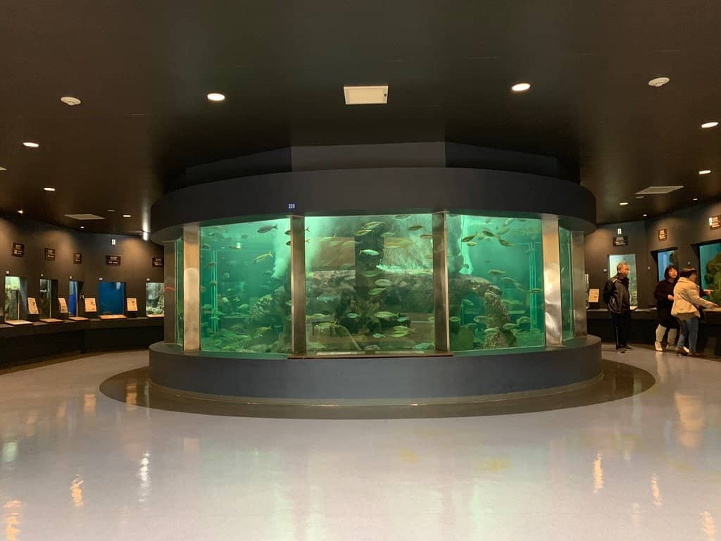 Unique Invertebrate Collection