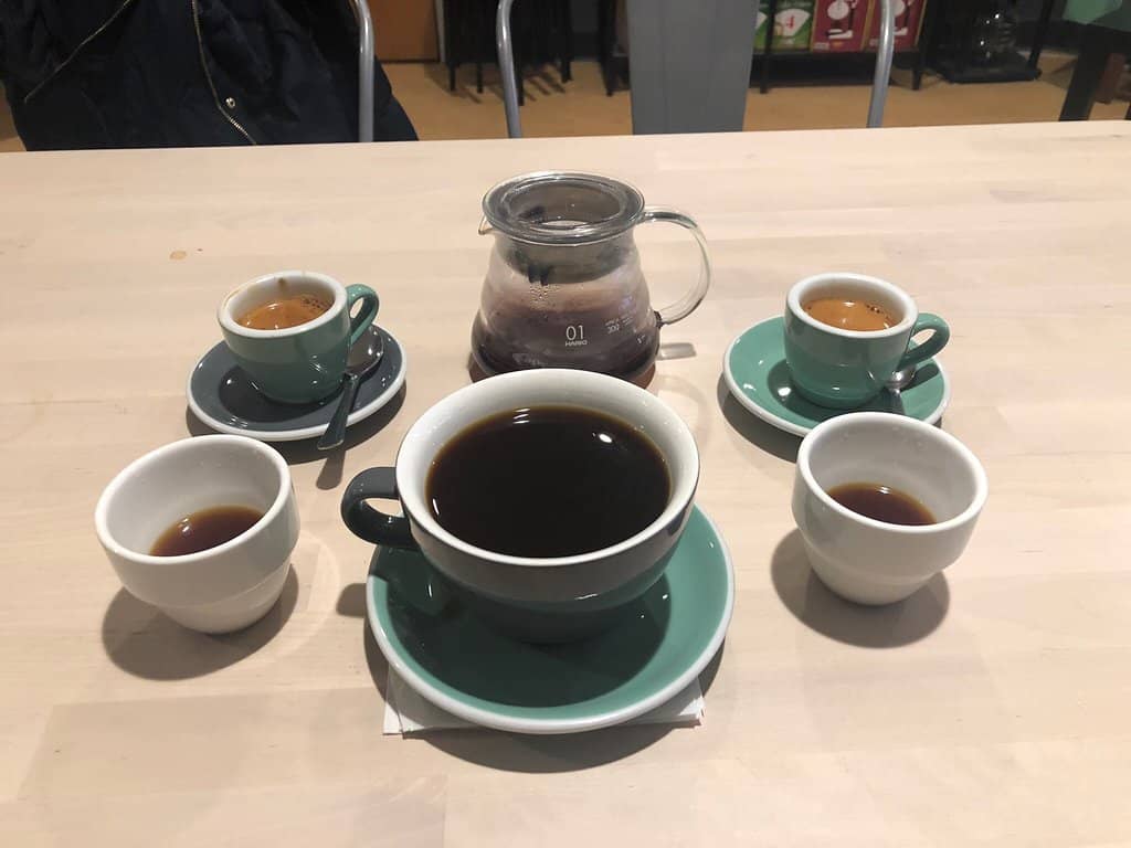 Plant-Filled Relaxing Ambiance