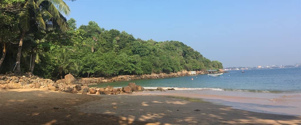 Hidden Paradise Vibe