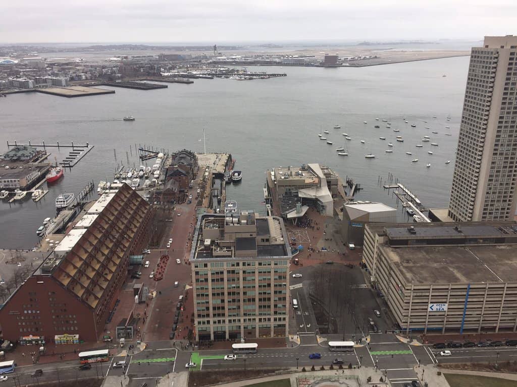 Hot Snakes Studio Exhibition