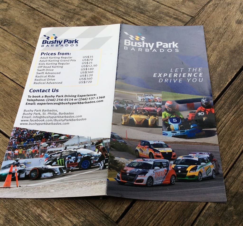 Radical Driving Experience