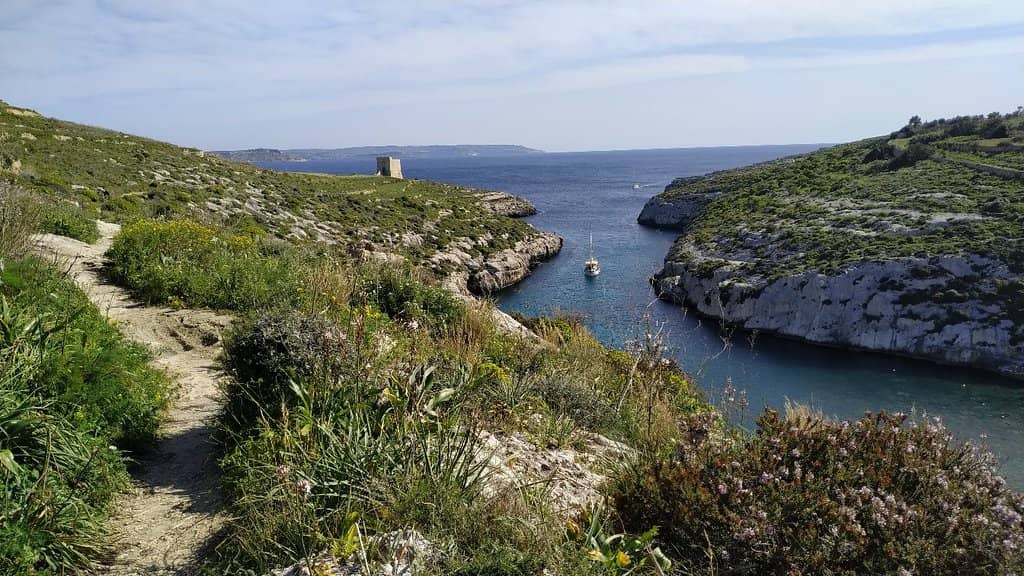 Crystal-Clear Waters