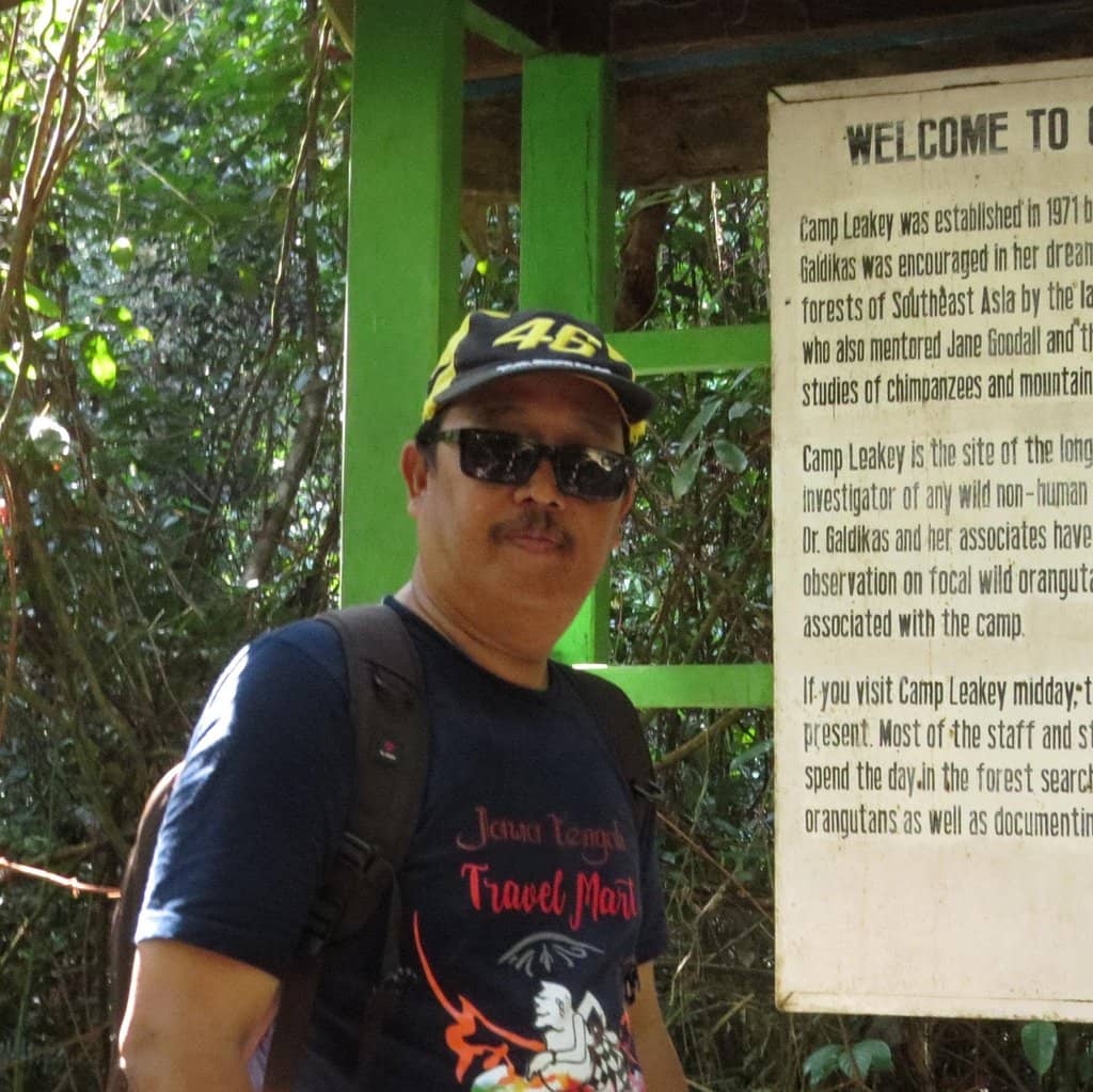 Jogging & Running Tracks