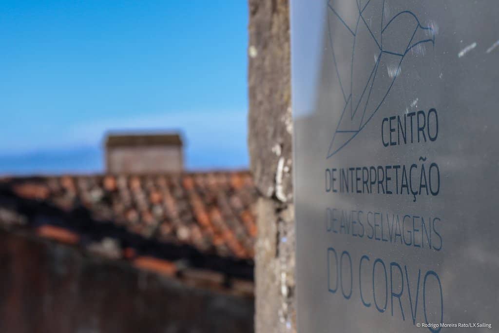 Azorean Bird Exhibits