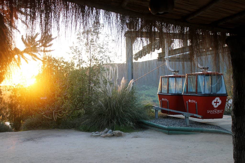 Wine Tasting & Vineyard Tour