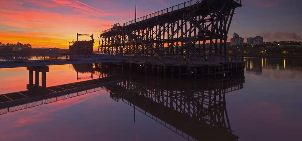 Riverside Views and Wildlife