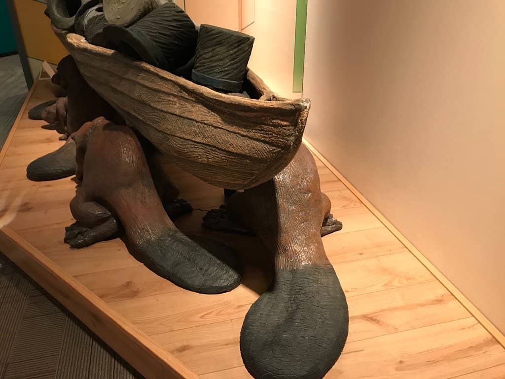 Rotating Art Galleries