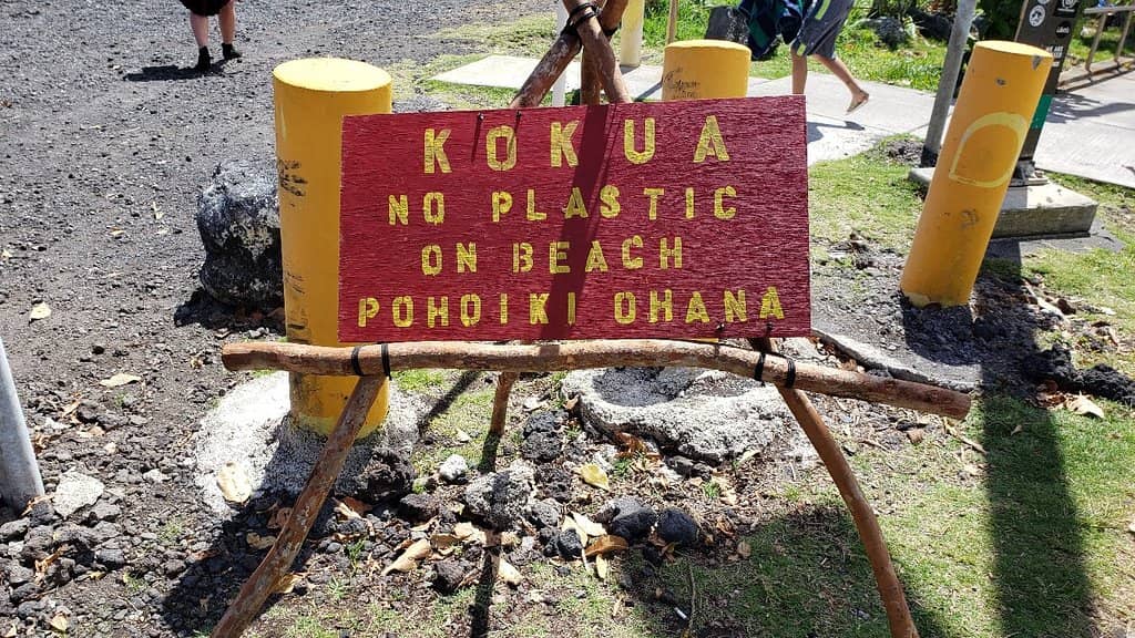 Pohoiki Black Sand Beach