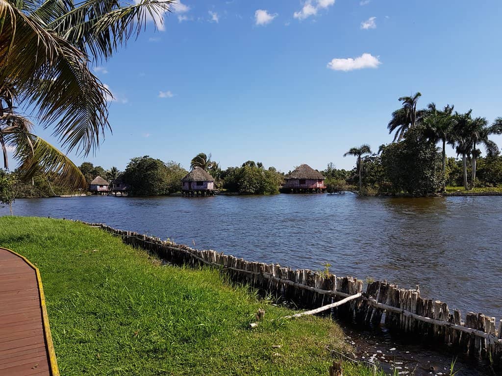 Cuban Crocodile Encounters