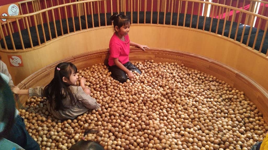 Wooden Toy Wonderland