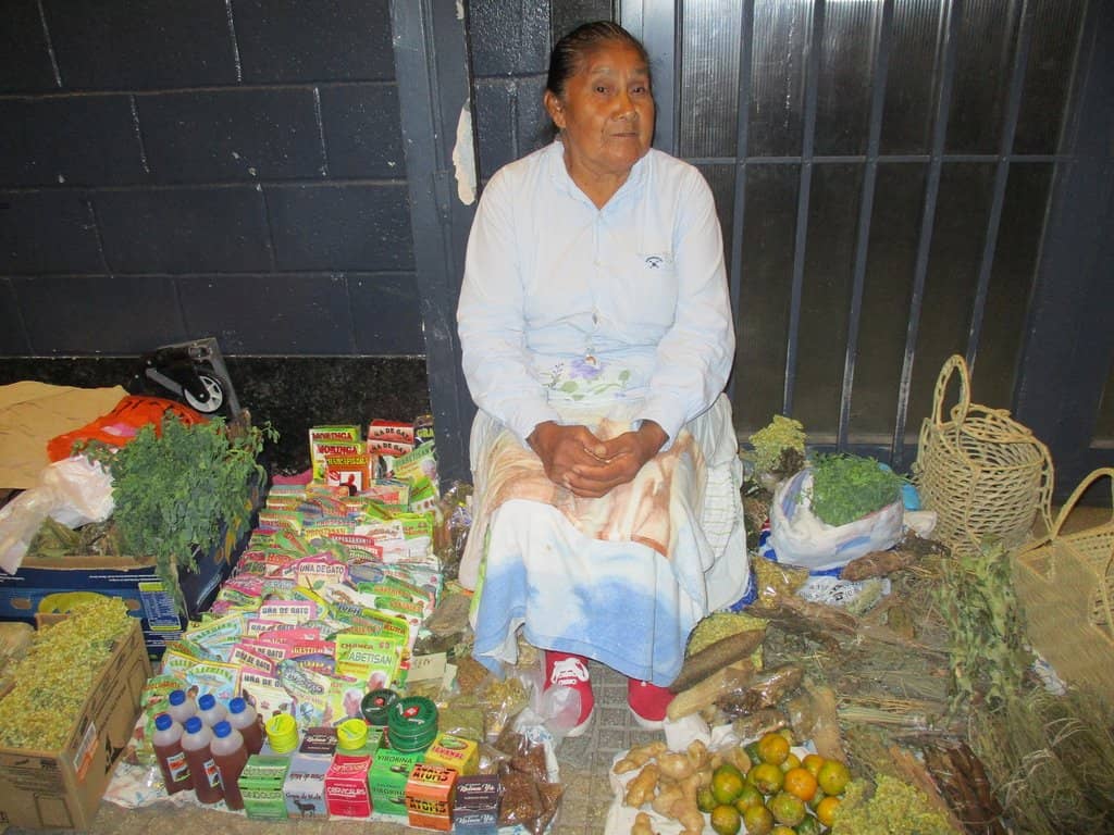 Lush Lawns and Palms