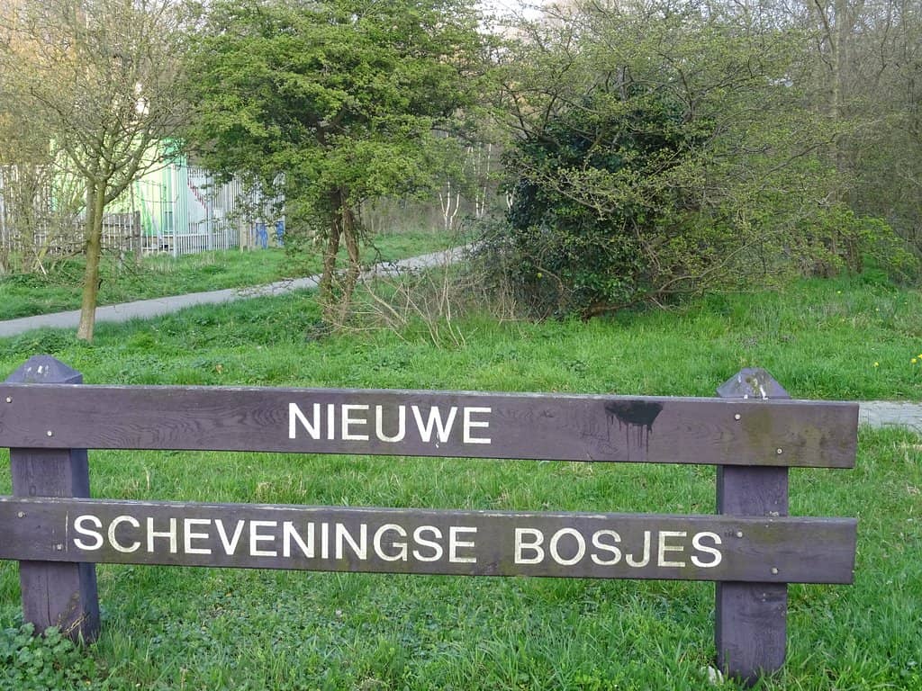 Tranquil Walking Trails