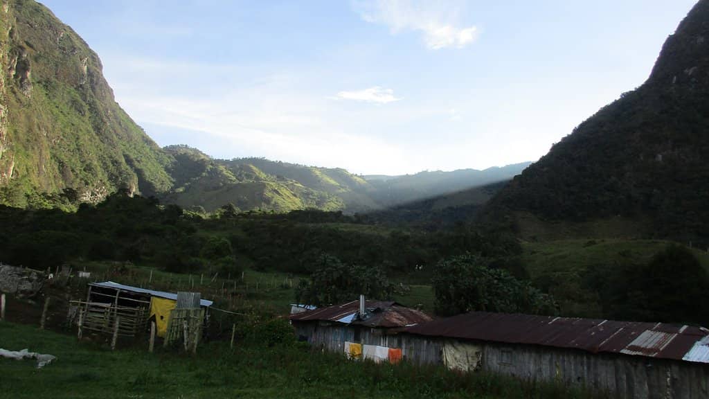 Scenic Hiking Trails