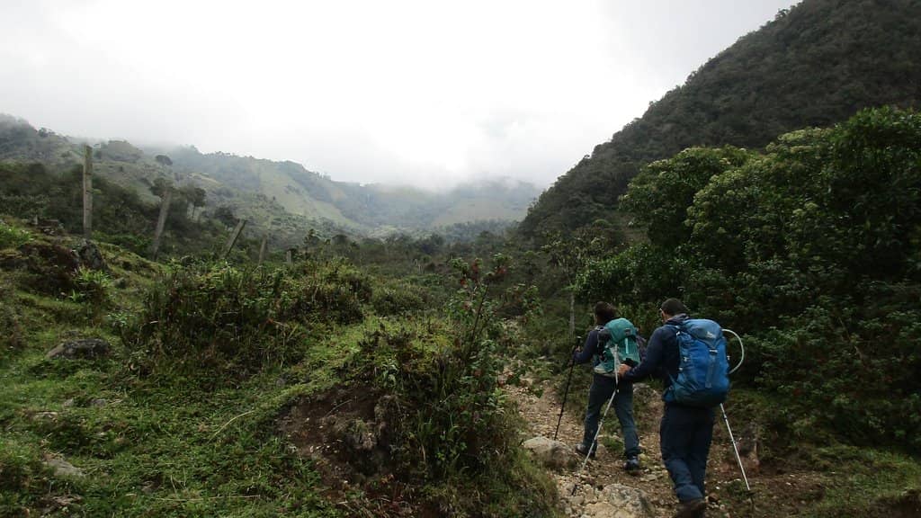 Finca La Montaña Viewpoint