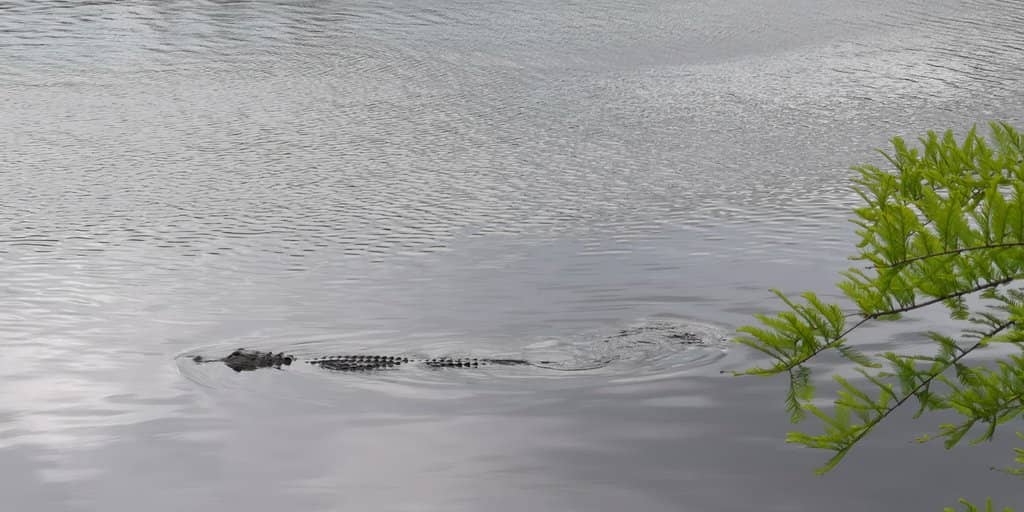 Welcome Center & Butterfly Garden