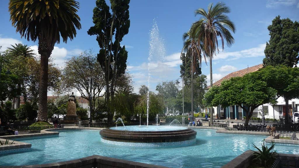 Local Cafes and Ambiance