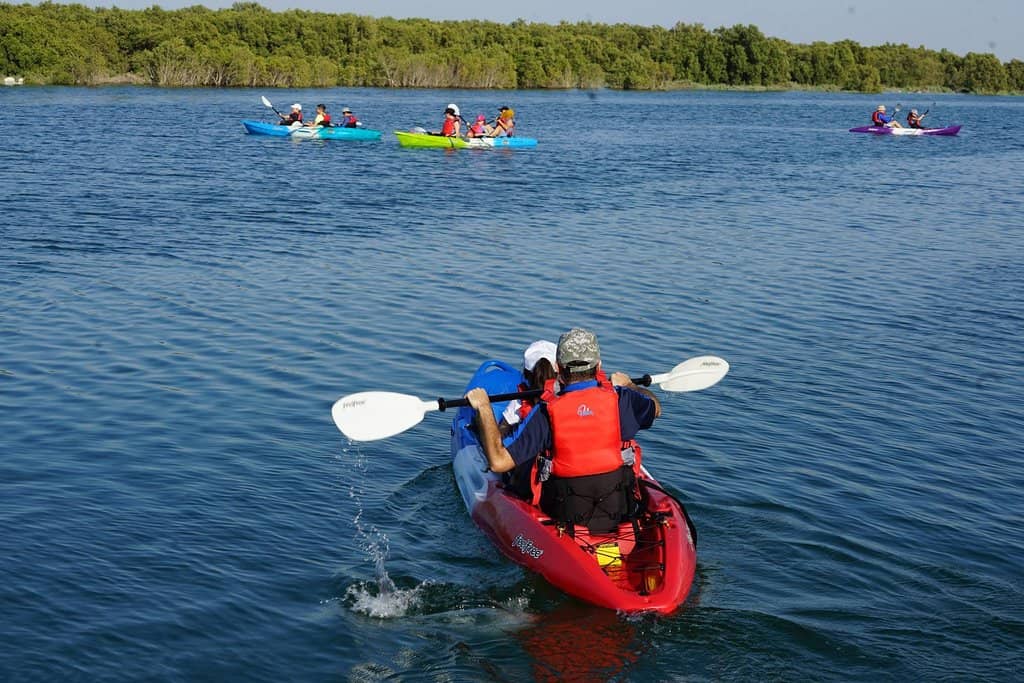 Kayaking Through the Mangroves