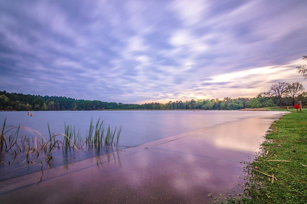 Tyler State Park Lake