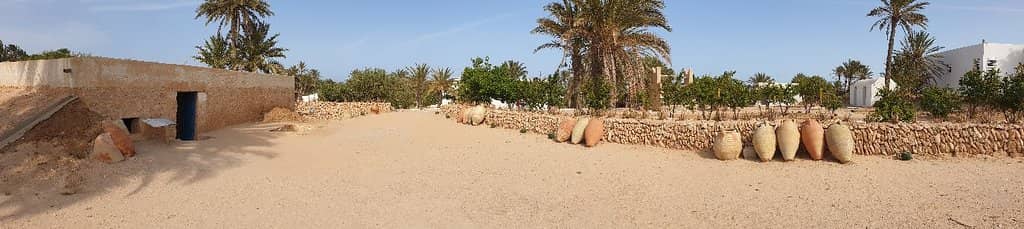 Reptile Show & Photo Ops