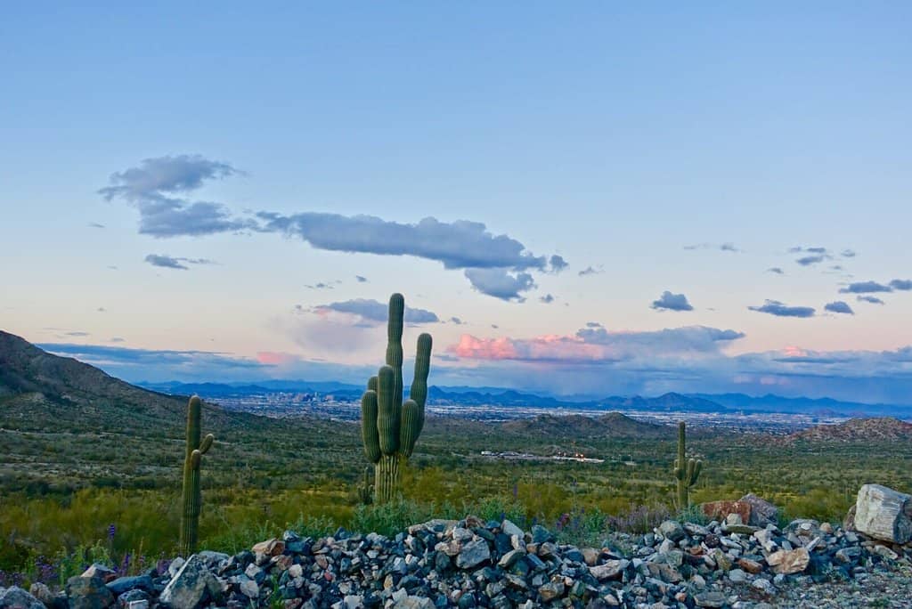 Panoramic Phoenix Views