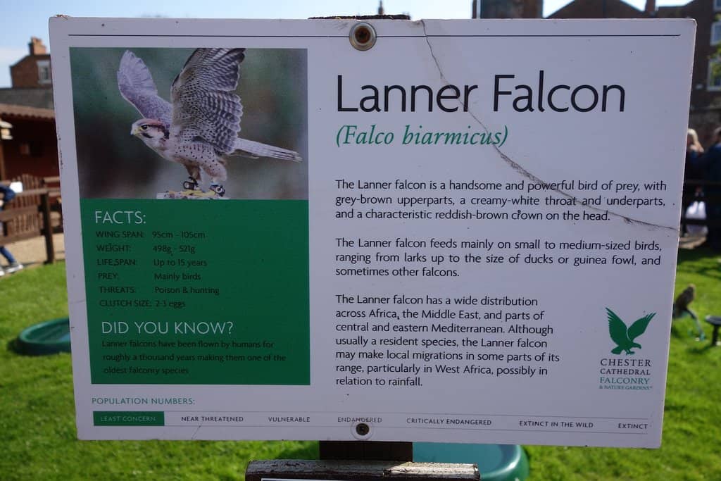 Hands-On Animal Encounters