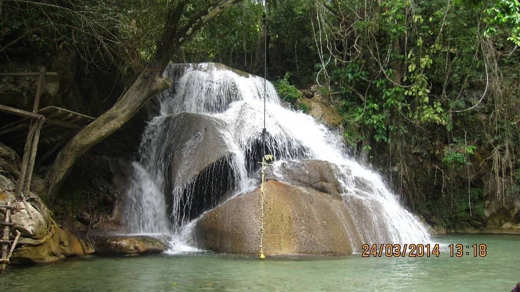 Suspension Bridges & Trails