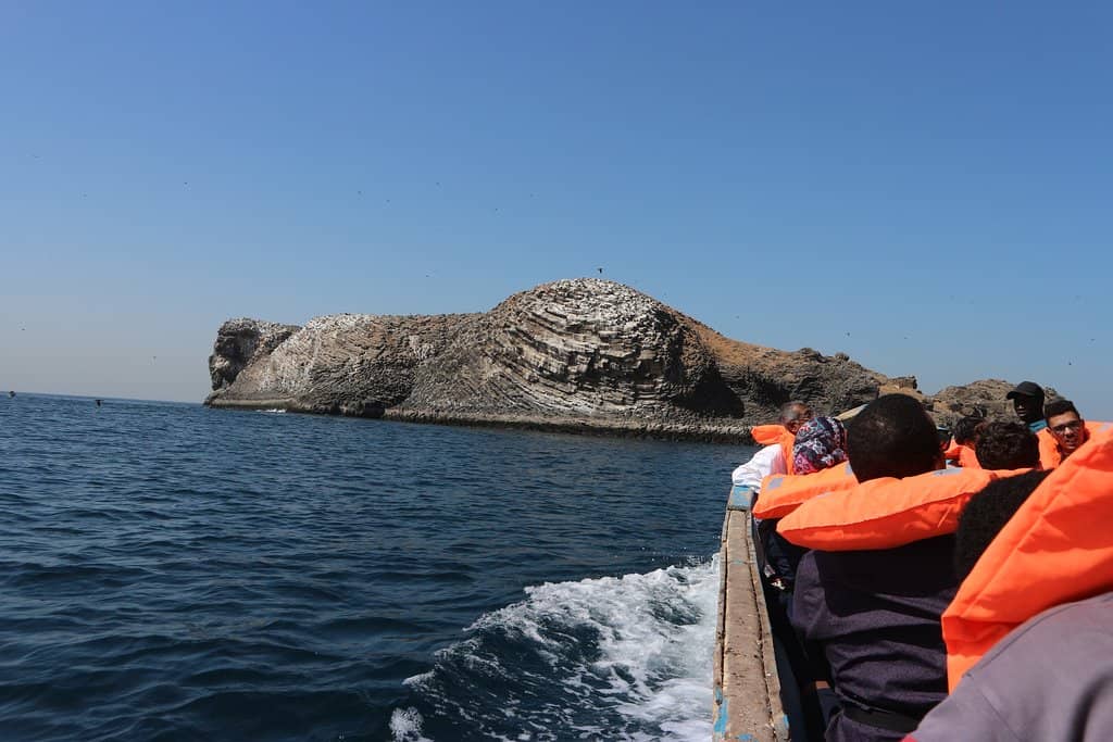 Ancient Stone Age Tools