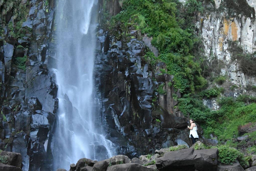 Bungee Jump & Pendulum Swing