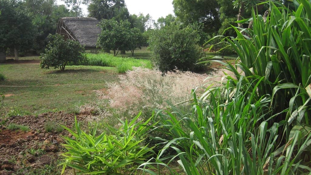 Japanese House with Pebbles