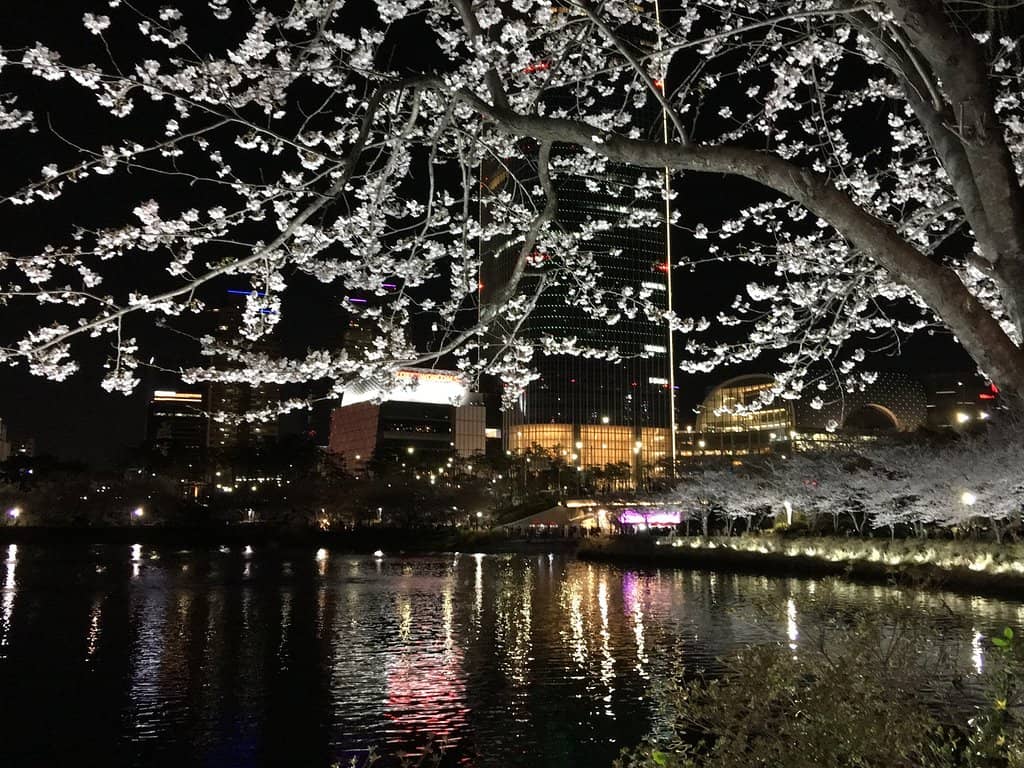 Lakeside Strolls and Picnics