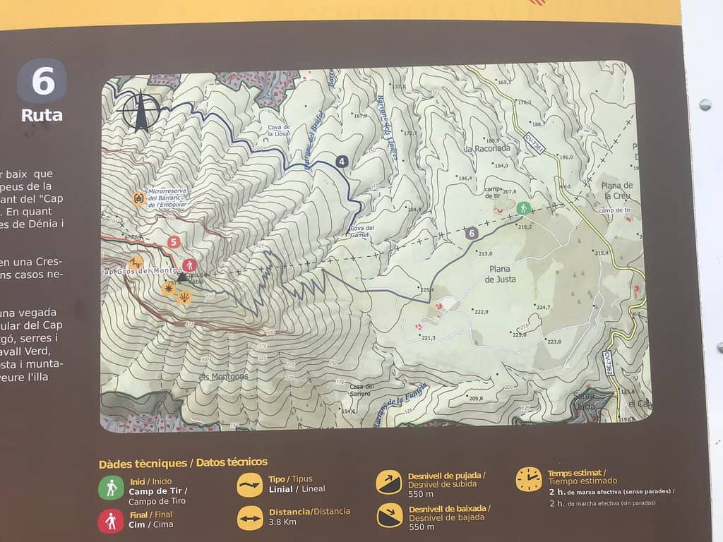 Diverse Mediterranean Flora