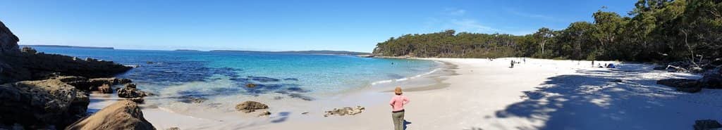 Family-Friendly Picnic Area
