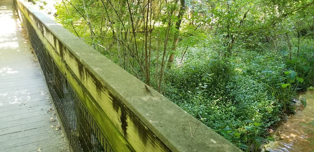 Butler Mill Trail