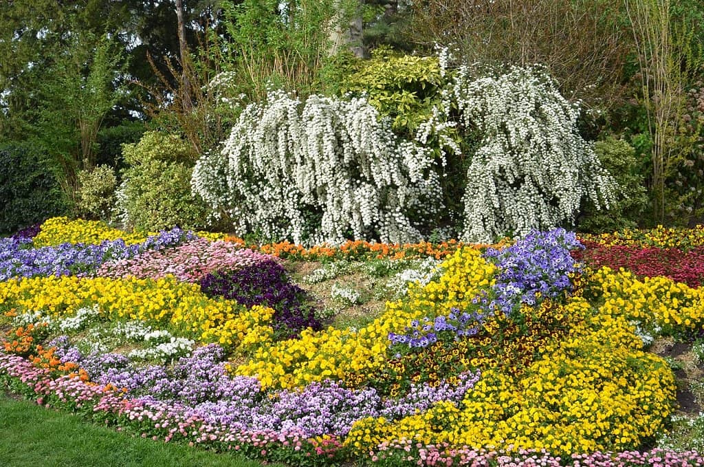 Ornamental Pond & Fountain